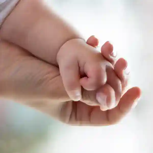 Family Law - qtq 27 4 1